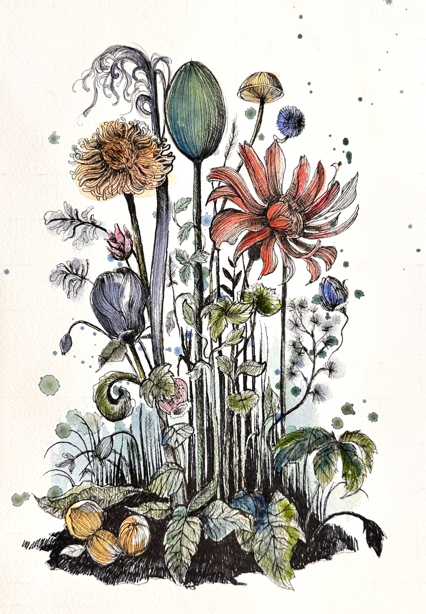 Fleurs