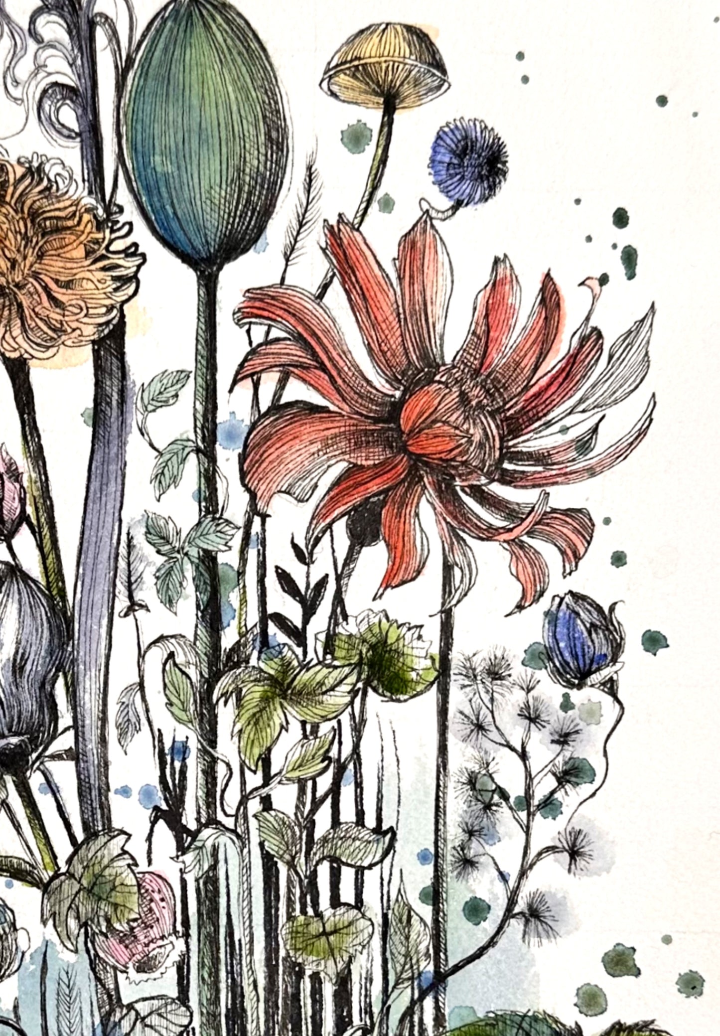 Fleurs