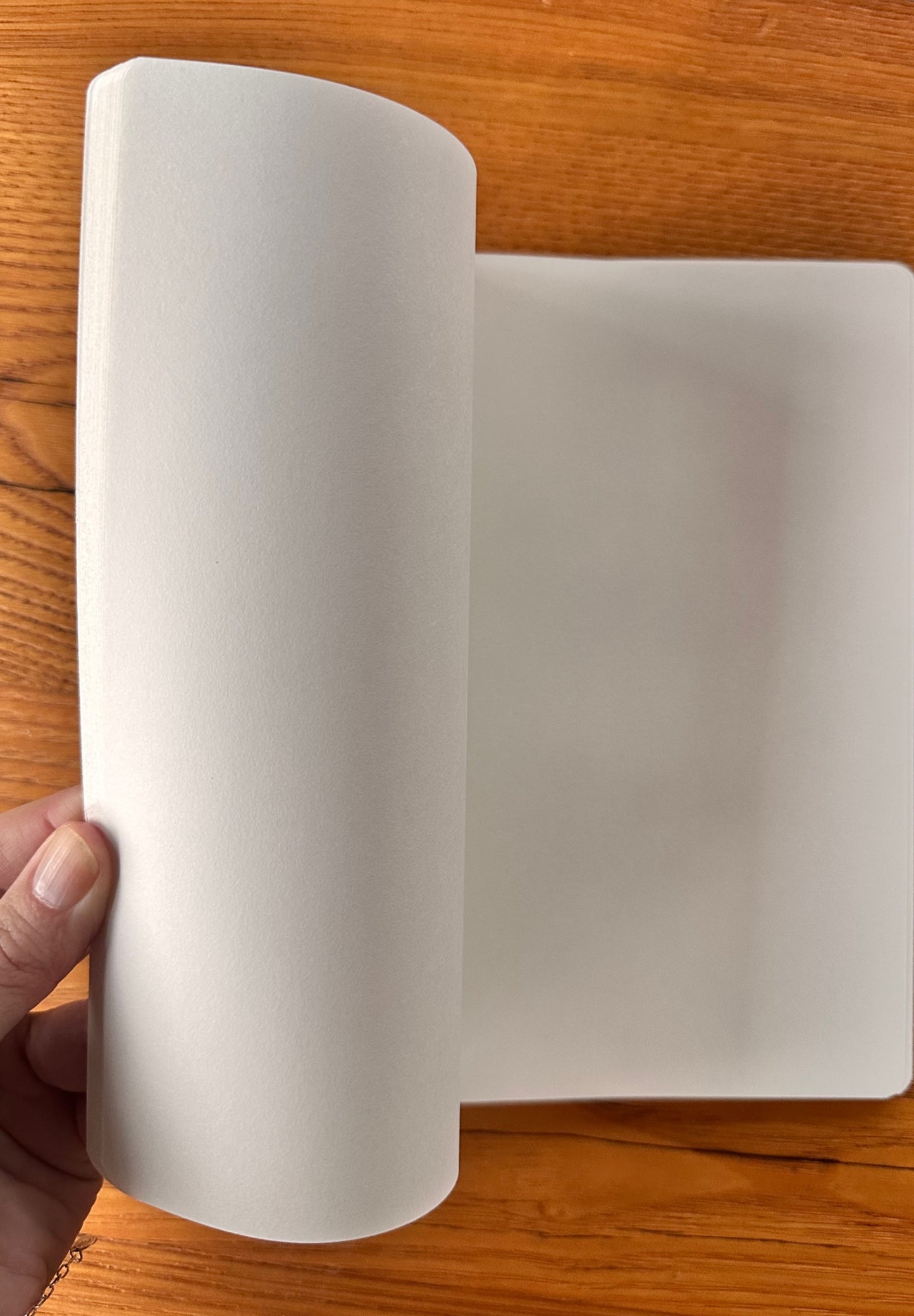 Notebook - Saskia and her fox